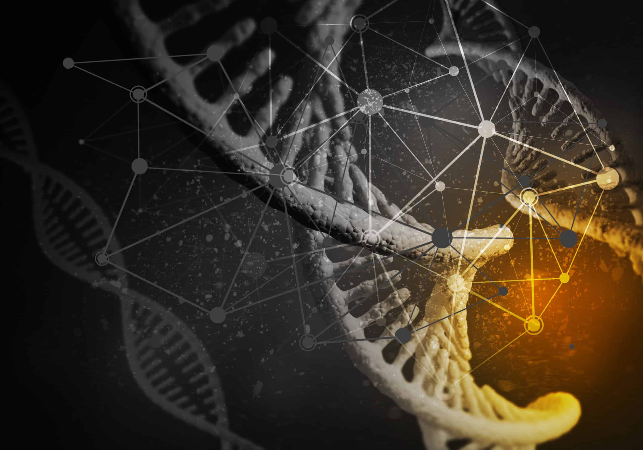 Cell-Free DNA screening for Fetal Aneuploidy