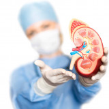 Multicystic Dysplastic Kidney