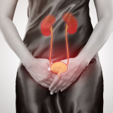 Genital and Urinary Tract Defects