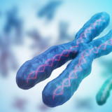 What to Know About Genetic and Chromosomal Conditions